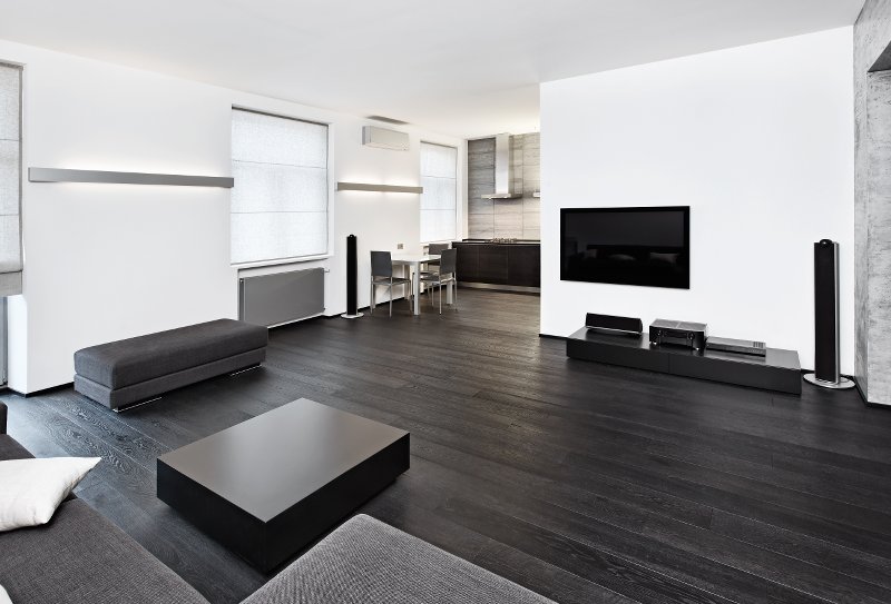Modern minimalism style sitting room interior in black and white tones